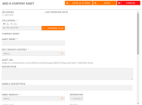 Add Content Asset dialog